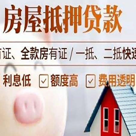 金寨贷款助贷公司新渝启服成立时间久